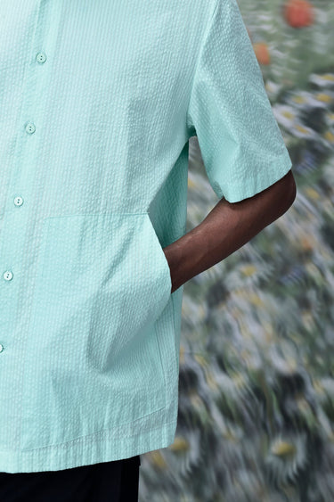 Solid Regular Fit Shirt- Nile Green